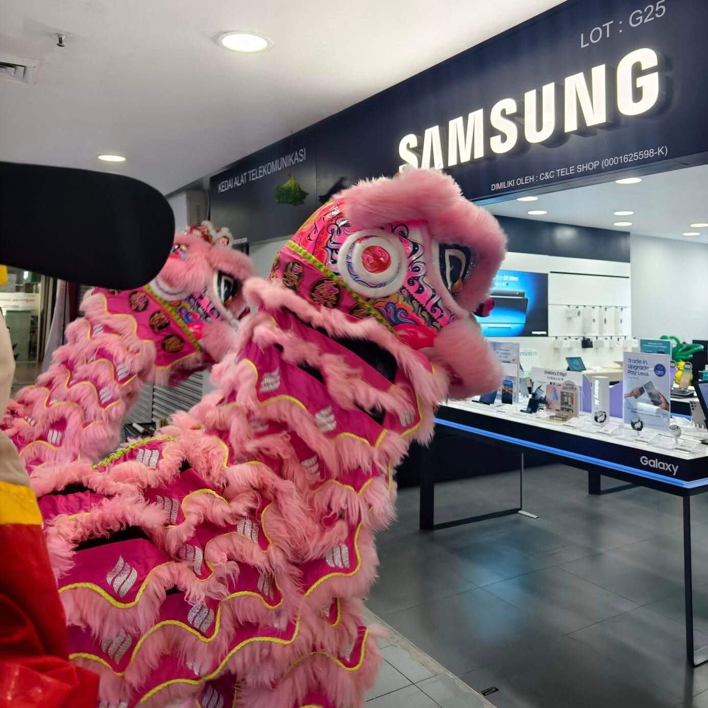 Lion dance hire for shop opening