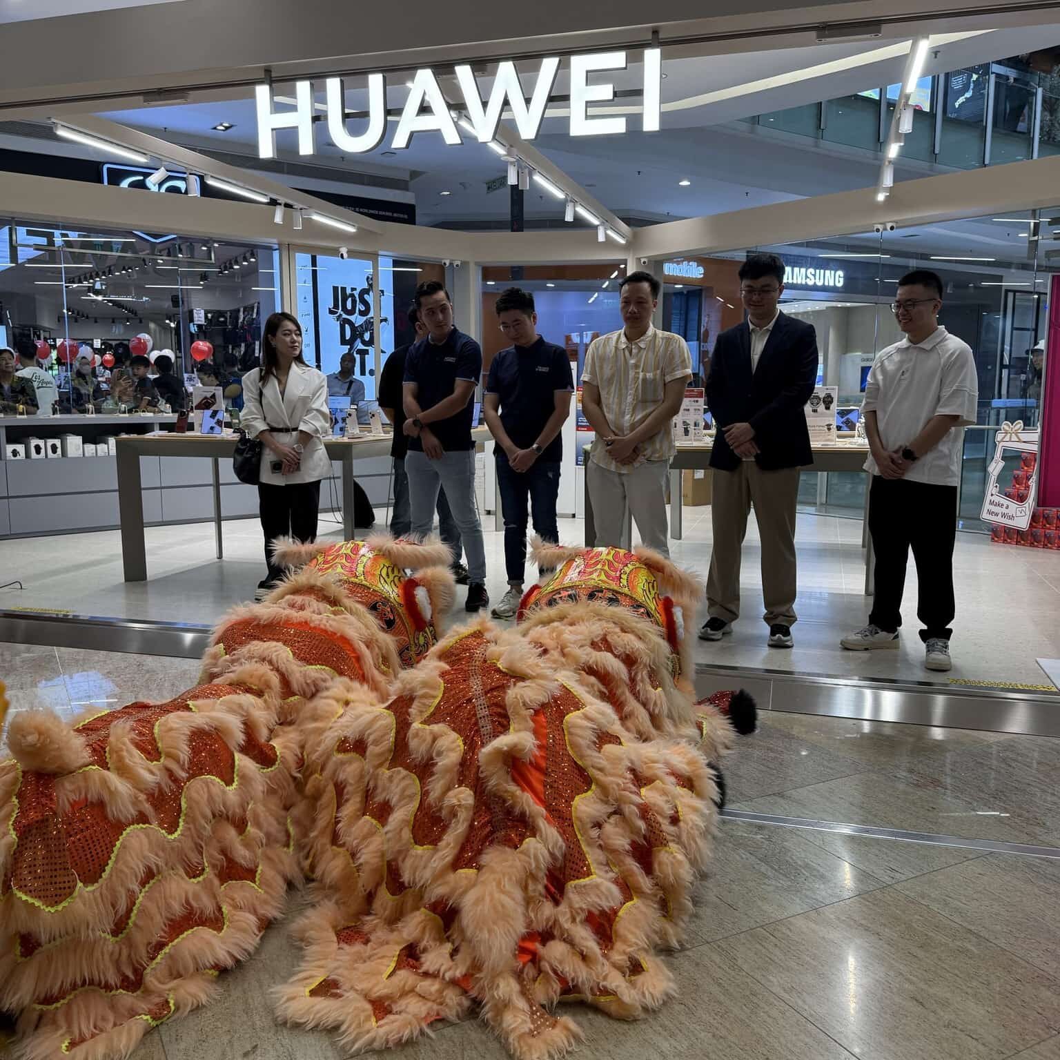 Chinese New Year lion dance hire